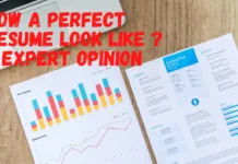 How does a Perfect Resume Look Like ? – Expert Opinion How a Perfect Resume Look Like - Expert Opinion