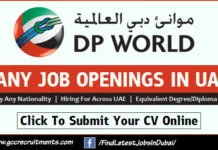DP-World-Careers-Jobs-in-Dubai-Latest