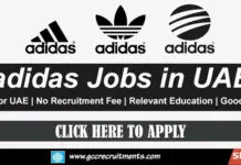 Adidas Careers in Dubai 2026: Retail Job Openings UAE