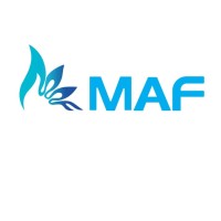 Mass Allied Freighters