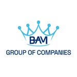 BAM Group