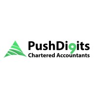 Push Digits Chartered Accountants LLC